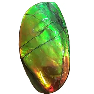 Toptan doğal renkli ammolite gevşek gemstone kristal satılık takla taşlar