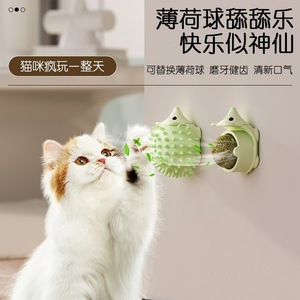 Pelota de hierba gatera para gatos, juguete masticable pequeño para limpiar los dientes - Product Image 4