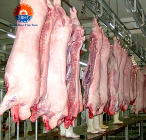Chaîne d'abattage automatique de porcs en acier inoxydable avec moteur à roulement, machine commerciale haute efficacité pour l'échaudage et l'épilation des porcs - Product Image 4