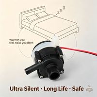 Pompe DC Silencieuse 12V/24V pour Lit à Eau et Machine à Glaçons - Faible Bruit, Sans Balais, OEM Personnalisable
