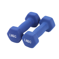 Dumbbell Besi Cor Heksagonal 1 1.5 2 2.5 3 4 kg Berlapis Karet Anti Selip untuk Latihan Harian dari Produsen