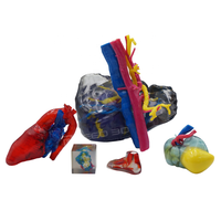 Modèle de vaisseau sanguin de haute précision coquille couleur silicone transparent modèle médical résine artisanat service d'impression 3d