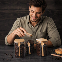 Lot de bocaux carrés en verre avec cuillère en bois, pots hermétiques pour grains de café, ensemble de récipients en verre pour condiments
