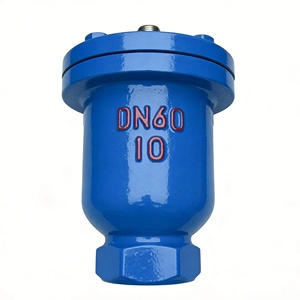 Válvula de escape roscada QB1 de hierro dúctil para tuberías de suministro de agua, utilizada para el escape en tuberías de suministro y drenaje de agua. - Product Image 5