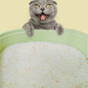 انخفاض السعر ماصة للغاية خالية من الغبار هلام السيليكا القط القمامة مؤشر PH تغيير اللون Ph الكريستال القط القمامة جيدة الرمال السيليكون - Product Image 1