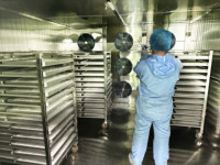 Déshydrateur industriel d'aliments pour le séchage des épices Pieds de poulet Noix de coco Coprah Dates Autres produits Séchoir à fruits et légumes Four