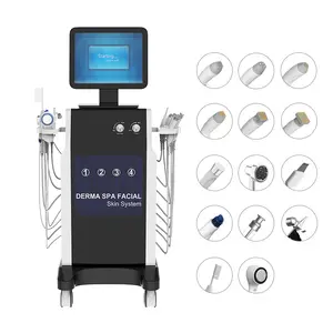 Máquina facial de dermoabrasión RF ultrasónica Hydro Aqua peeling 15 en 1 dispositivo de cuidado de la piel con espray de oxígeno de limpieza profunda multifuncional
