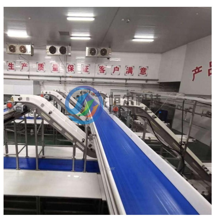 Конвейерная роликовая лента для резки мяса для обрабатывающего завода по производству свиного мяса