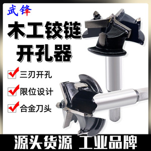 Fast Boring Bit 35mm Three Blade Carbide For Wood Drilling Hinges Doors Locks Drawers 12mm Shank 3 Flat - Product Image 5