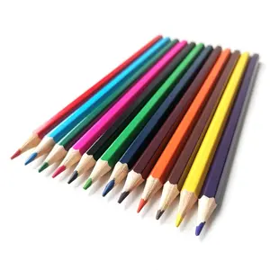 工厂 18 年 12 件木制成人绘画着色铅笔套装