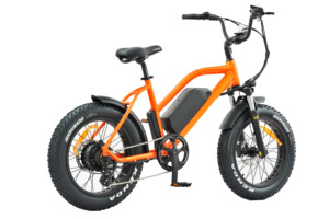 Fast-Food-Liefer version E-Bike heißer Verkauf JINHUA OTMAR OEM/ODM pendeln zum elektrischen Liefer rad - Product Image 6