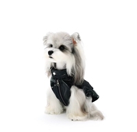 Veste de luxe pour chien en polyester, style motard, doublée polaire, imperméable avec fermeture éclair, durable, toutes saisons, vêtement d'extérieur pour animaux de compagnie