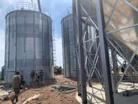Silos di stoccaggio Silo di farina in polvere Silo di mais a prezzo di fabbrica