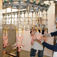Nouvelle machine d'abattage de poulet mobile compacte 300-800 oiseaux par heure Installation gratuite pour les industries d'abattage de volaille