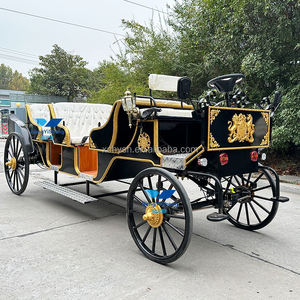 Carruaje de caballos eléctrico para boda, uso turístico, precio bajo, alta calidad, Color personalizado, Batería de 60V 80A - Product Image 2