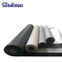ISOKING 80g HDPE Bâche d'étanchéité résistante à l'eau pour façade extérieure de bâtiment commercial