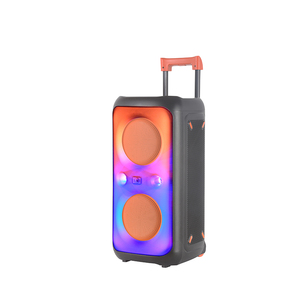 FANSBE RGB Light 40W 8Inch*2 Bluetooth Boombox DJ Active Chargeable Trolley Speaker For Outdoor Party