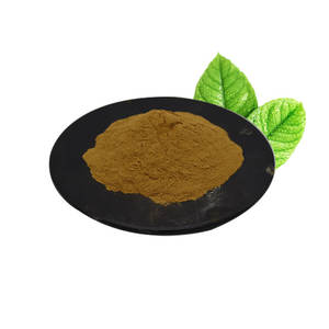 بيع مباشر من المصنع لمستخلص أوراق الجنكة بيلوبا عالي الجودة بنسبة 24% من الفلافونويدات - Product Image 5