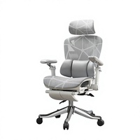 Chaise ergonomique en nylon avec support lombaire, chaise d'ordinateur, chaise de jeu à domicile, chaise inclinable pour longues heures de siège, chaise de sieste, siège de bureau pour hommes