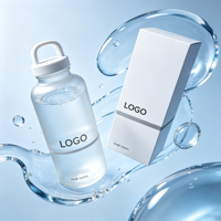 Simpele design 16 oz glazen water- en sapfles 500ml koffiemok Borosilicaat dagelijkse hydratatie frosted glazen fles met deksel