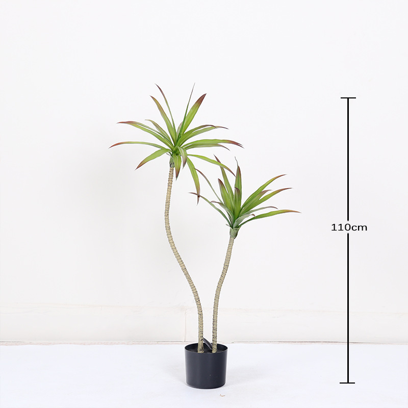 Plante miniature en pot d'agave 110 cm