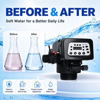 Vanne de contrôle pour adoucisseur d'eau industriel à haut débit 7000 L/h, régénération automatique, compteur numérique, fourniture OEM pour traitement de l'eau