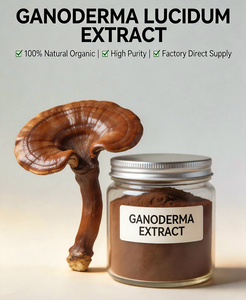 Poudre d'extrait de champignon Reishi biologique (Ganoderma Lucidum/Lingzhi) - Culture artificielle - Product Image 1