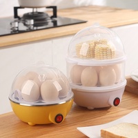 Cuiseur à œufs électrique automatique double couche Tgyw pour usage domestique, boîtier en plastique multifonctionnel pour usage domestique E003