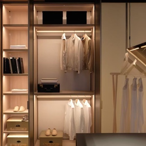 BALOM Armario Vestidor de Lujo Personalizado de Alta Gama con Isla, Iluminación LED, Muebles Modernos para Dormitorio, Venta al por Mayor OEM - Product Image 5