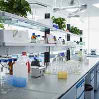 Enzymes industrielles Bioscouring, pectinase alcaline en poudre/liquide pour le textile, élimination efficace de la pectine