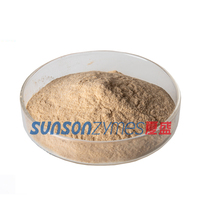 Enzyme tannase à haute activité (1000 U/g) en poudre, hydrolyseur pour les gallotannines dans le thé, le jus, le cuir, l'alimentation animale. Faible dose (0,03 % max.)