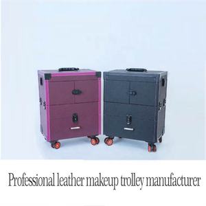 <span class=keywords><strong>Maquillaje</strong></span> <span class=keywords><strong>Profesional</strong></span> artista vanidad carrito <span class=keywords><strong>de</strong></span> equipaje fabricantes con cajones con espejo con cerradura sobre ruedas <span class=keywords><strong>precio</strong></span> al por mayor - Product Image 5