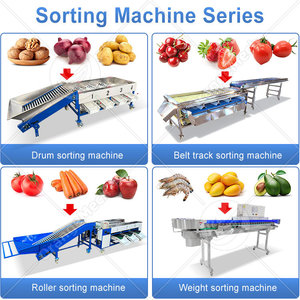 เครื่องคัดขนาดและคัดเกรด<span class=keywords><strong>ผล</strong></span><span class=keywords><strong>ไม้</strong></span>และผัก HNOC สำหรับกระเทียม มะเขือเทศ กีวี พร้อมเครื่องเคลือบแว็กซ์และคัดเกรด <span class=keywords><strong>ราคา</strong></span> - Product Image 4