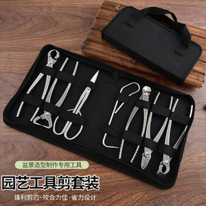 Juego de herramientas para bonsái, tijeras de podar de acero inoxidable con bolsa Oxford portátil para dar forma al jardín y recortar plantas - Product Image 1