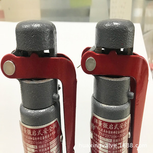 Válvula de seguridad de microapertura A27H-10 A27T-16 DN20 con rosca ajustable para alivio de presión de vapor, agua y aire - Product Image 2