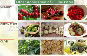 Machine industrielle de dénoyautage d'olives, d'élimination des pépins de fruits et d'extraction, avec composants de base à engrenages, Nouveau - Product Image 3