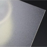 Plaque acrylique moulée mate translucide dépolie en plexiglas de couleur transparente à épaisseur personnalisée