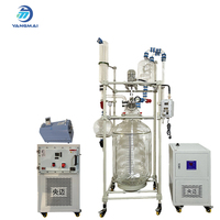 Yangmai 200L Reactor de Laboratorio con Tanque de Vidrio Encamisado a Presión 220V, Olla de Reacción Personalizable, 750W, Accionamiento Automático por Motor, de Alta Gama