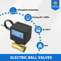 Vanne à boisseau sphérique motorisée en laiton à économie d'énergie DN15-DN25 AC220V avec indicateur de position PN20 0-95C OEM