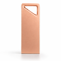 Flashdisk Rose Gold USB 2.0, Pen Drive Logam Paduan Seng, Memory Stick Kecepatan Tinggi, Desain Gantungan Kunci Segitiga