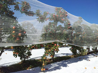 HDPE anti-hagelnet, UV-gestabiliseerd, voor boomgaardbescherming van fruit- en groenteteelt