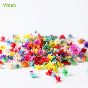 Petites fleurs séchées naturelles, petites étoiles, petites fleurs pour l'artisanat, clous en résine, bijoux, boucles d'oreilles, moules en époxy, fabrication de bougies de savon, - Product Image 6