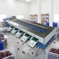 Automatische sorteermachine voor pruimen, fruit en groenten, sorteermachine voor aardappelen op basis van maat.