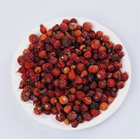 Rijk Aan Vitamine C Gedroogde Rozenbottel Thee Rose Hip Rosa Canina Fruit