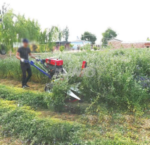 Cortacésped multifuncional Cosechadora <span class=keywords><strong>DE</strong></span> TRIGO pequeña <span class=keywords><strong>de</strong></span> mano Arroz Menta Alfalfa Grano <span class=keywords><strong>de</strong></span> hierba Pastoreo un cortacésped - Product Image 6