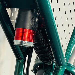 Bicicleta Eléctrica Todoterreno Ridstar Q20 48V 20Ah con Sidecar, Neumáticos Anchos, Bicicleta Híbrida para Adultos, Entrega de Comida, Bicicleta Eléctrica Q20 - Product Image 2