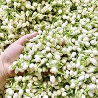 Getrockneter Jasmin