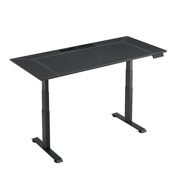 Electric Dual-motor Ergonomic Table Auto Height Adjustable Sitting Computer Standing Desk