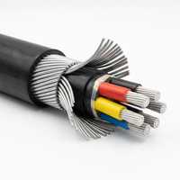 Kabel Daya Multi-Core VLV32 0.6/1kV 4 Inti 50mm2 Aluminium PVC Baja Berlapis SWA CN IEC