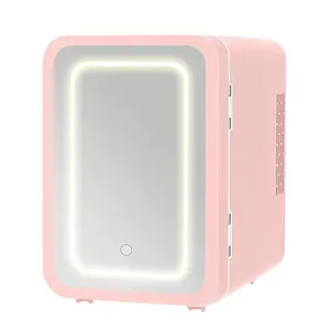 4L Home Use Electric Skincare Fridge For Cosmetic Portable Ac 100V-220V Dc 12V Mini Cosmetic Refrigerator With Mirror LED Light